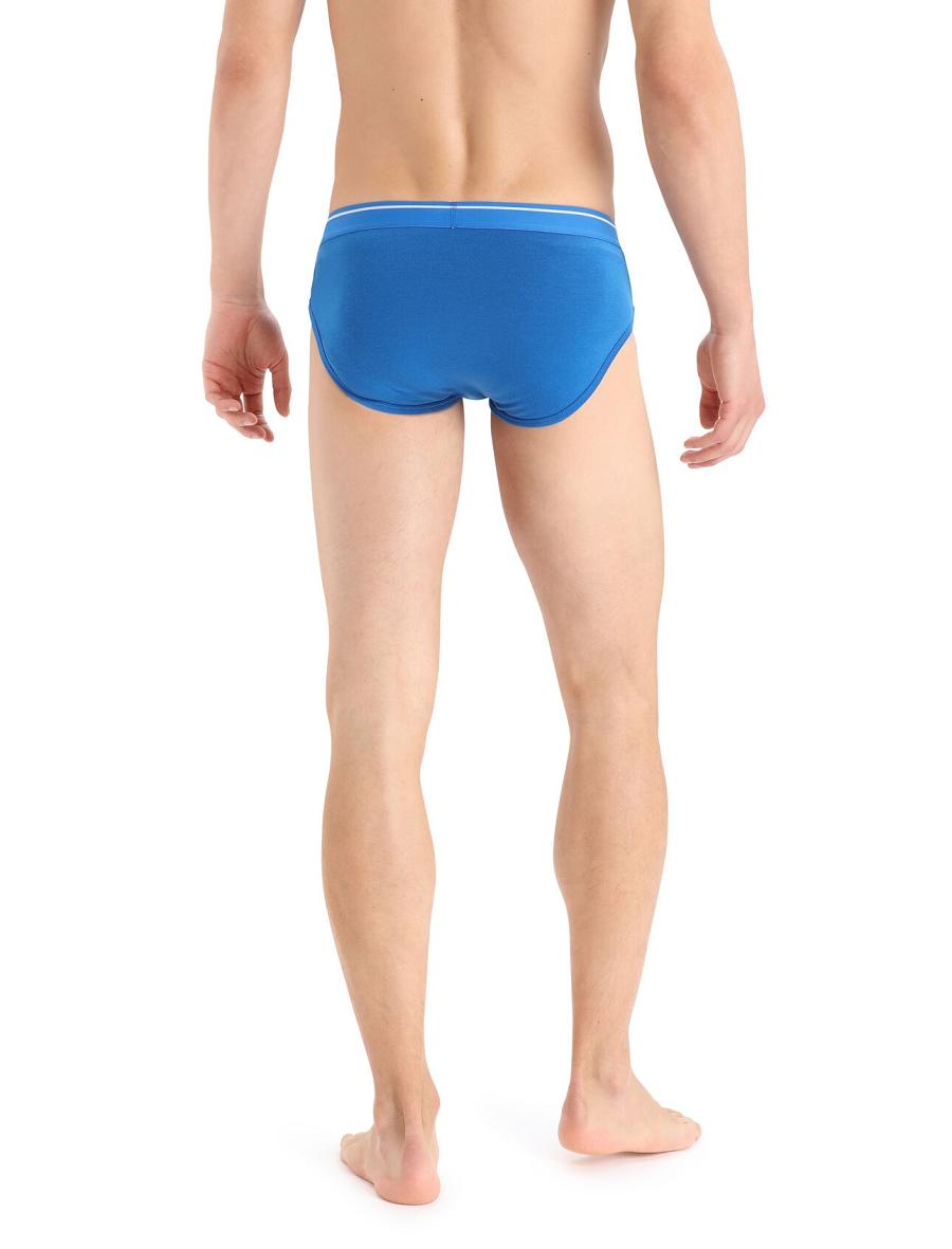 Lazurite Men's Icebreaker Merino Anatomica Briefs Underwear | USA 1296ZUTG